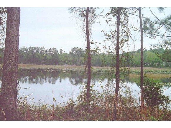 SE 85 Pl., Ocklawaha, FL 32179