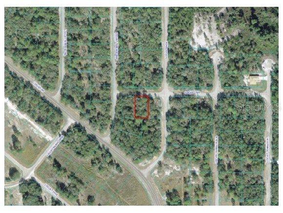 Locust Ter., Ocala, FL 34472