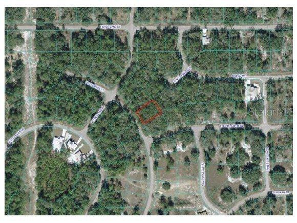 Guava Pass Ct., Ocklawaha, FL 32179