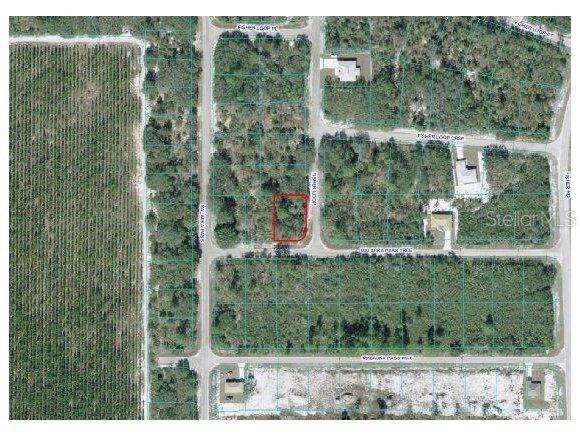 Malauka Trc Pass, Ocklawaha, FL 32179