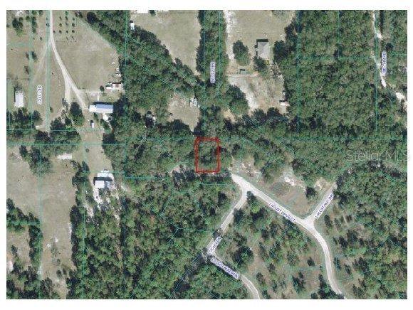 Locust Dr Ct., Ocala, FL 34472
