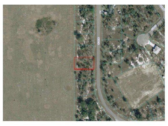 Olive Cir., Ocala, FL 34472