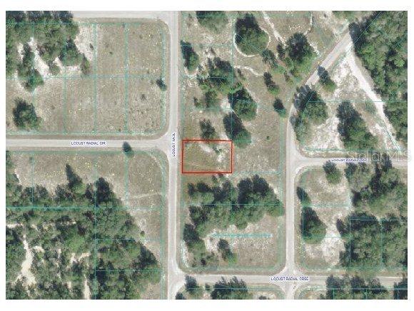 Locust Rad Cir., Ocala, FL 34472
