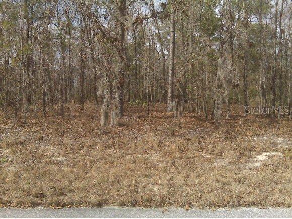 SW 55 Ave Rd., Ocala, FL 34473
