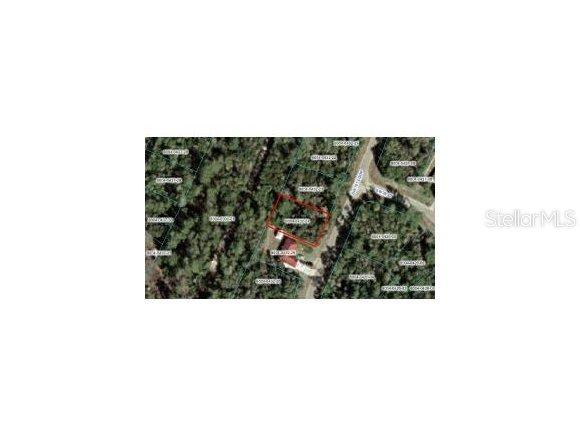SW 161 Loop, Ocala, FL 34473