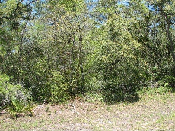 SW 33 Cir., Ocala, FL 34476