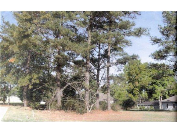 SE 41 Ter., Belleview, FL 34420