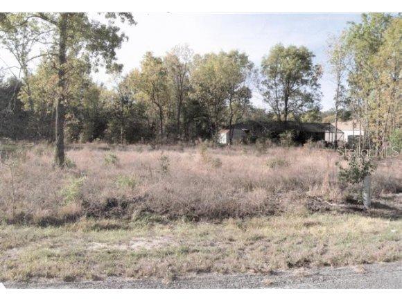 SE Olive Cir., Ocala, FL 34472