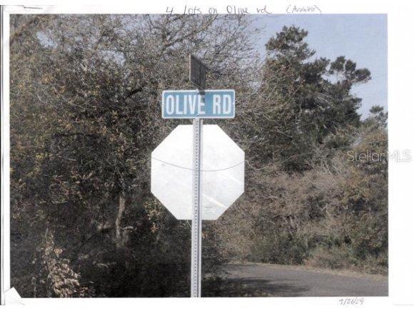 SE Olive Rd., Ocala, FL 34472