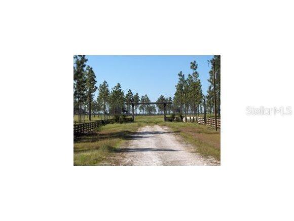 NE 140 Ave., Williston, FL 32696