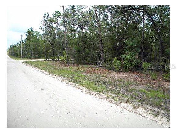 NE 137 Ct., Williston, FL 32696