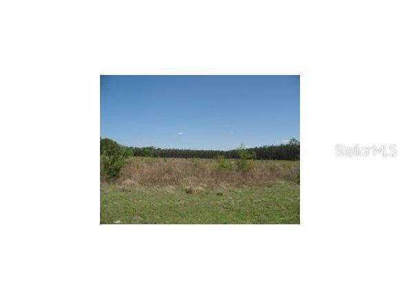 NE 150 Ave., Williston, FL 32696