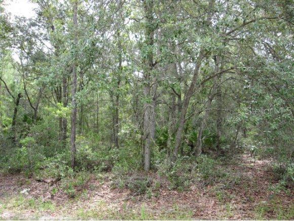 Guava Tr., Ocklawaha, FL 32179