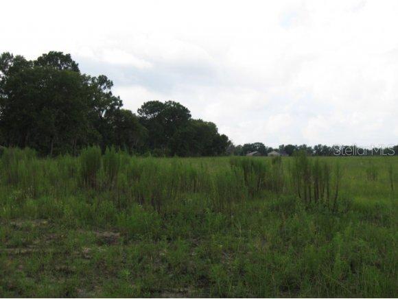 SE 140 St., Summerfield, FL 34491