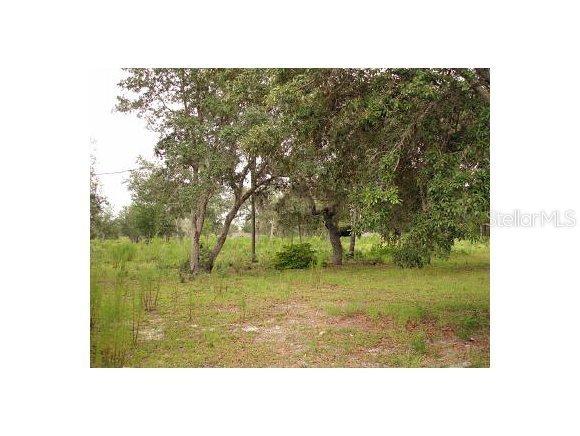 9650 NE 132 Ter., Williston, FL 32696