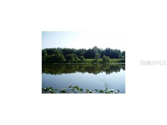 SE Sequoia Drive Ter., Ocklawaha, FL 32179