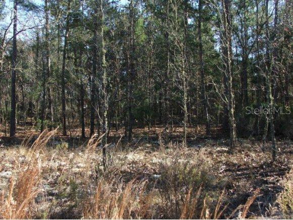 NE 139 Ave., Williston, FL 32696