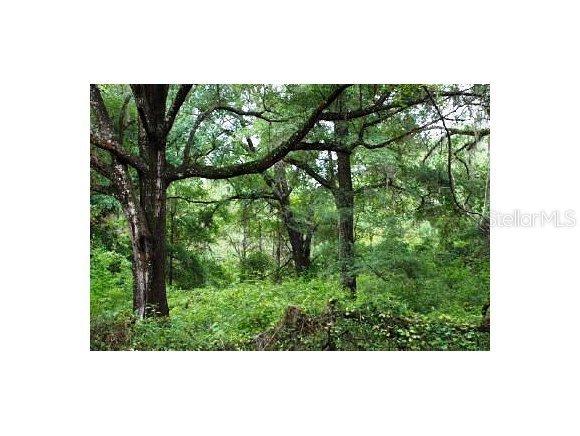 LOT 7 NE Lot 7 150 Ave., Williston, FL 32696