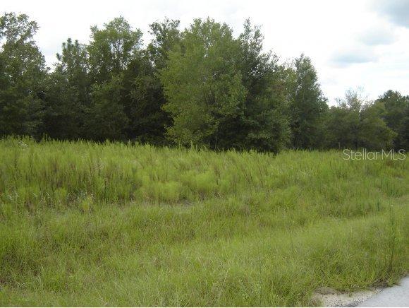 9420 SE 152 Pl., Summerfield, FL 34491