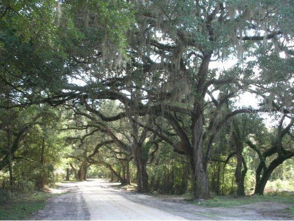 NE 150 Ave., Williston, FL 32696