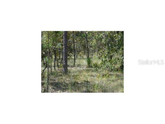 NE 135 Ter., Williston, FL