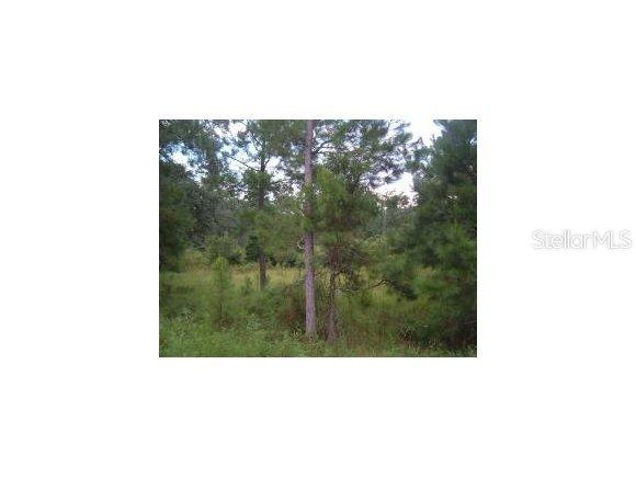 NW 160 St., Reddick, FL 32686