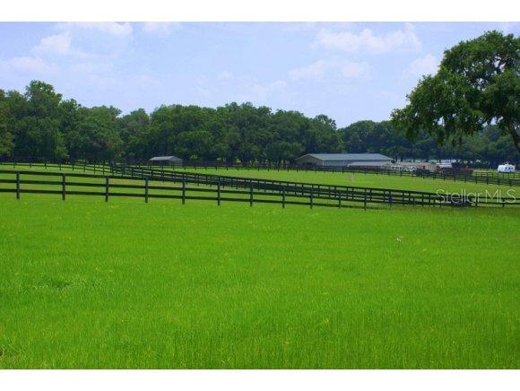 6556 NW 110 St., Reddick, FL 32686