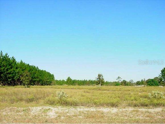 SE 114 Ave., Morriston, FL 32668