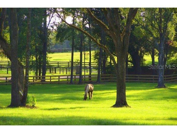 707 NW 150th Ave., Ocala, FL 34482