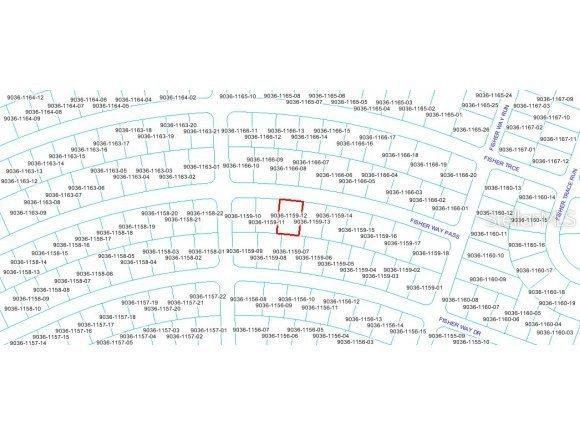Fisher Way Pass, Ocklawaha, FL 32179