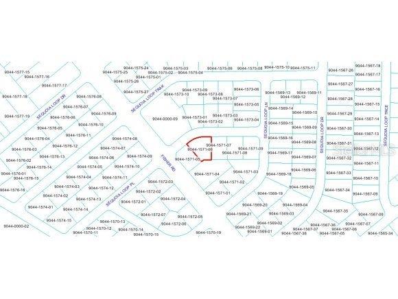 Sequoia Pl., Ocklawaha, FL 32179