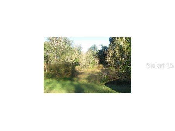 15125 SE 62 Ave., Summerfield, FL 34491