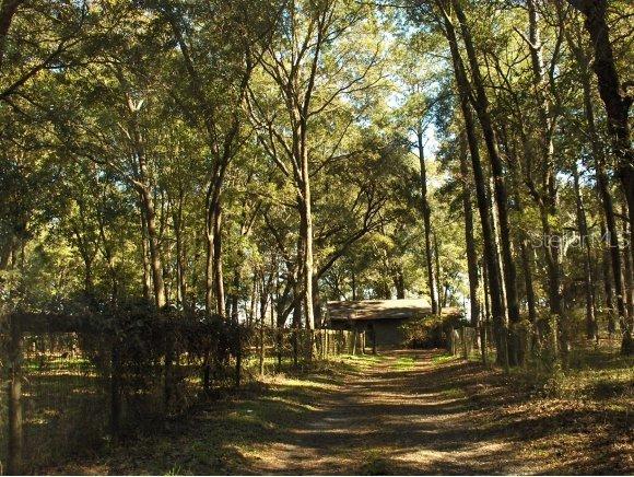 4651 SE 138 Ter., Morriston, FL 32668