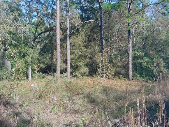 NE 154 Ter., Williston, FL 32696