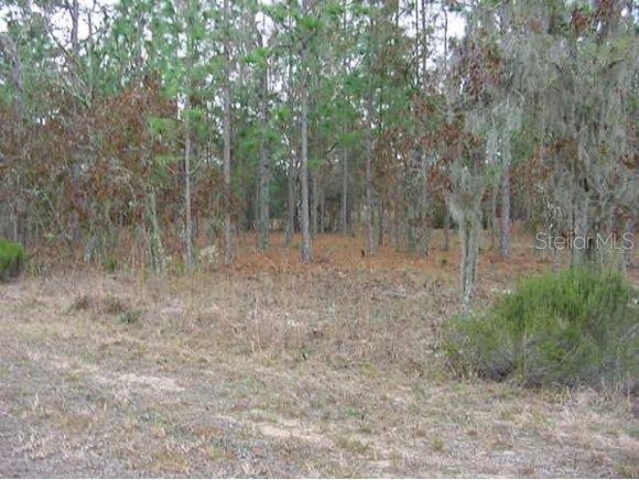 NE 149 Ct., Williston, FL 32696