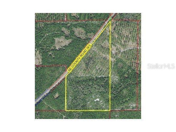 County Road 343, Williston, FL 32696