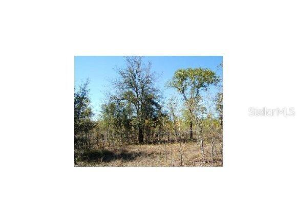 NE 4 St., Williston, FL 32696