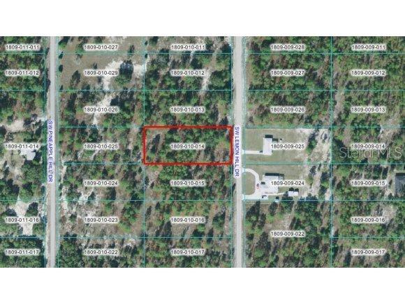 SW Lemon Hill Dr., Dunnellon, FL 34432