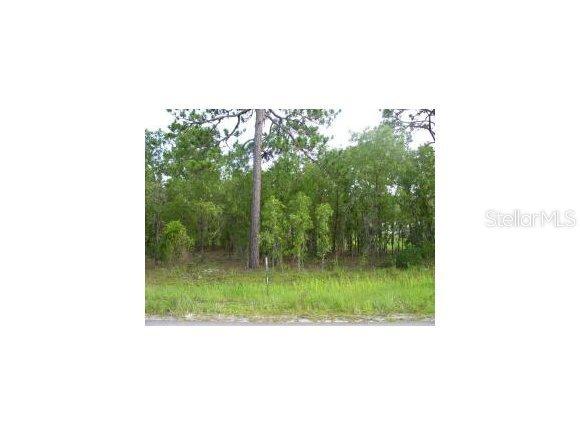 Hemlock Loop, Ocala, FL 34472