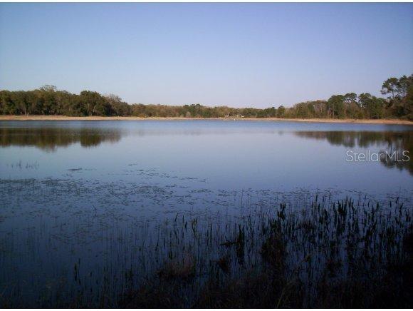 SE 177 Ct., Ocklawaha, FL 32179