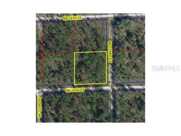 NE 14 St., Williston, FL 32696