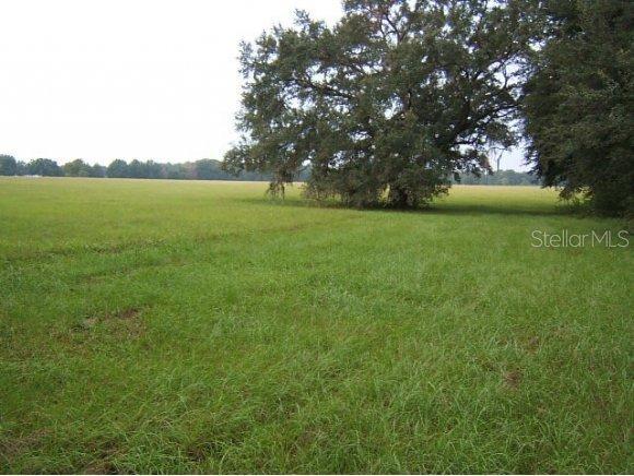 NE 160 Ave., Williston, FL 32696