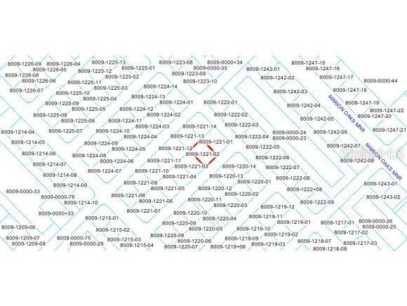 SW 151 Ln., Ocala, FL 34773