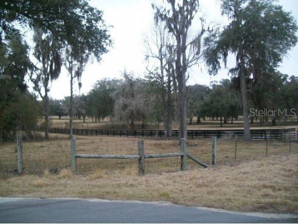 TRACT 1 NW Tract 1 115 St., Ocala, FL 34482