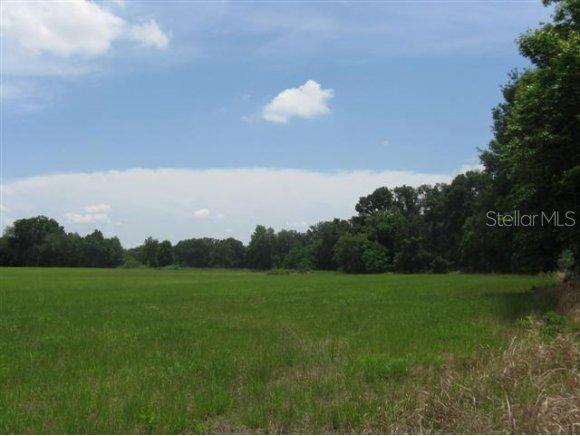 SE 15200 Block Of Highway 301, Summerfield, FL 34491