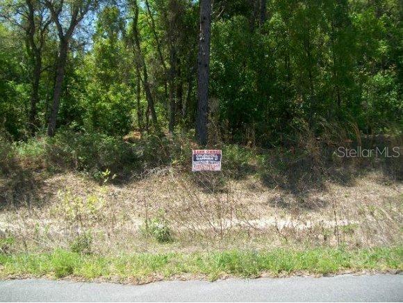 SW 117 Ln., Ocala, FL 34476