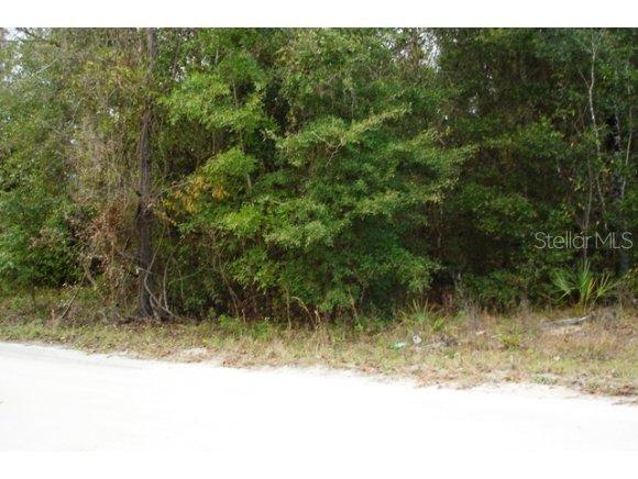 NE 139 Ter., Williston, FL 32696
