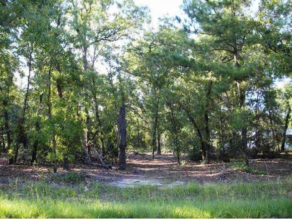 SE 158 Pl., Summerfield, FL 34491