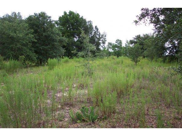 6185 W Peter Ln., Dunnellon, FL 34433