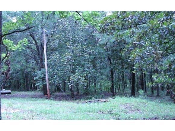 14161 NW 186 Ln., Williston, FL 32696